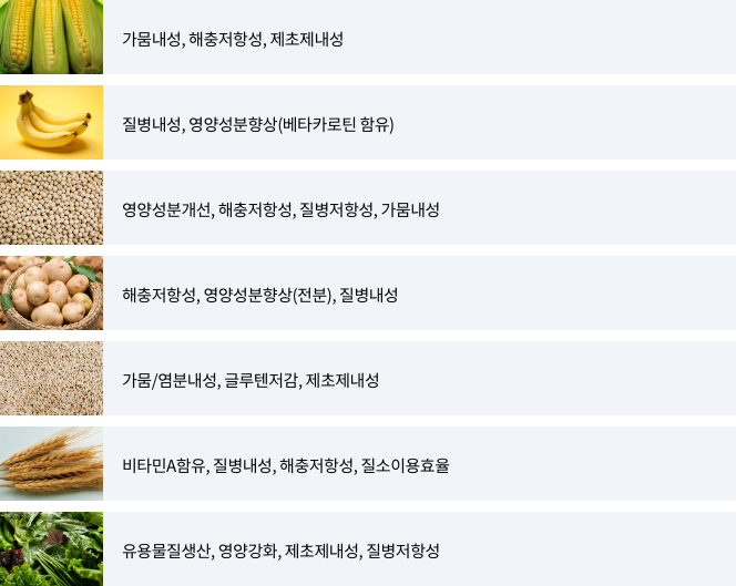 지역별 유전자변형작물 연구개발 특징