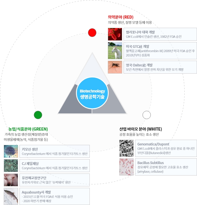 유전자변형생물체 상업화 및 연구개발 –미생물/ 동물